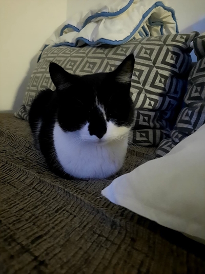 Minnie