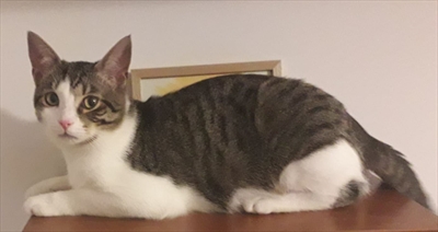 Clyde