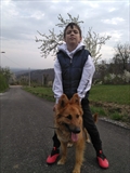 LOLA