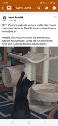Mače Pače