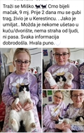 Miško