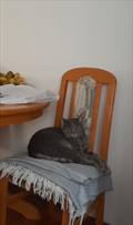 Hans 