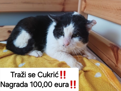 Cukrić