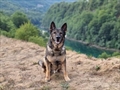 Kas