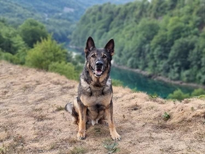 Kas