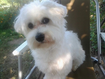 Snupix (Snoopy)
