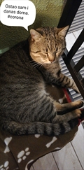 Jerry
