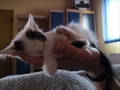 Nala