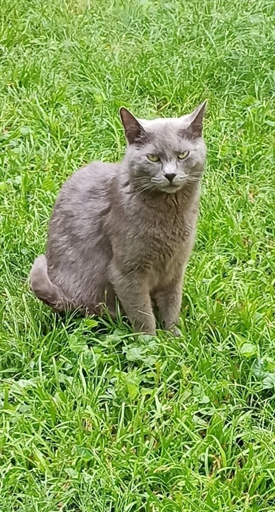 Lala