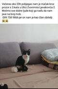 Tašo