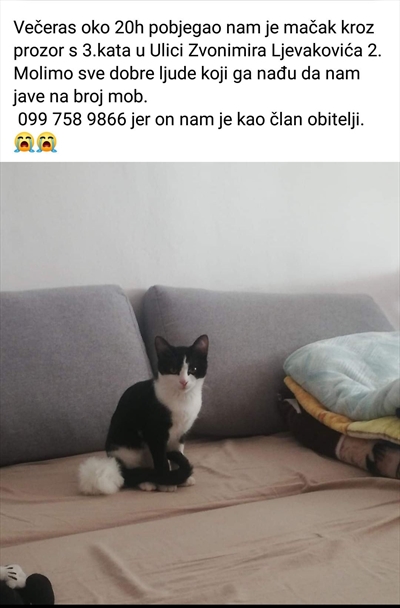 Tašo