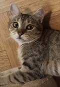 Rita