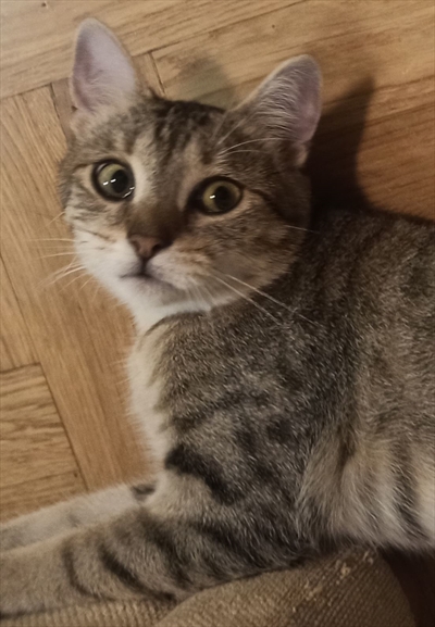 Rita