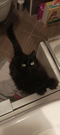 Lucy