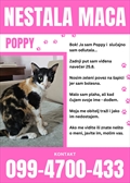 Poppy