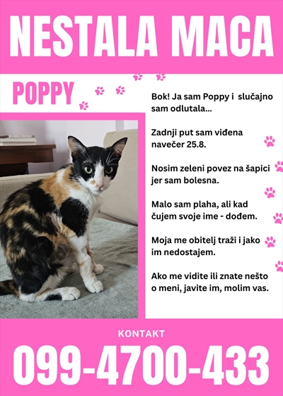 Poppy