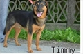 Timmy