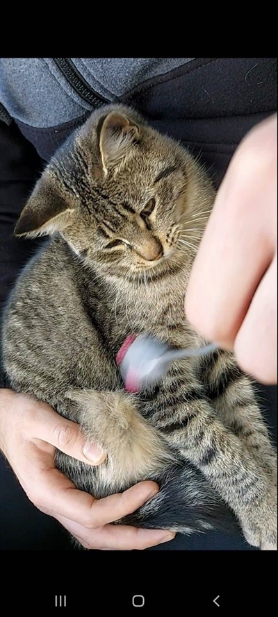 Mala