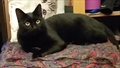 Muki