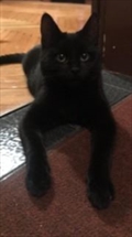 keko