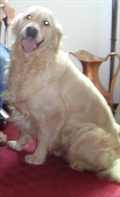 Rety
