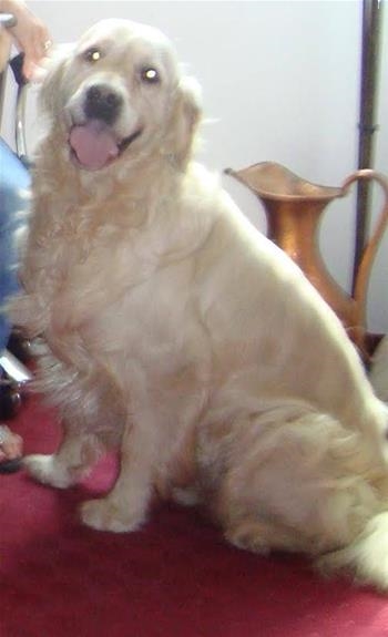 Rety