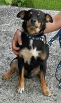 Beny