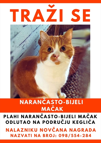 Parzival