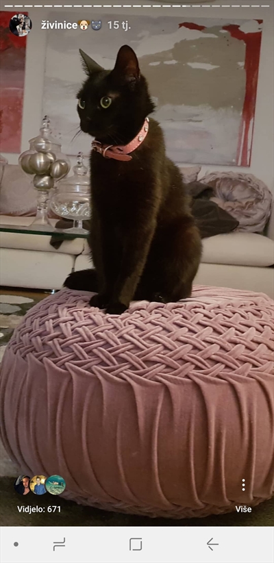 Katica