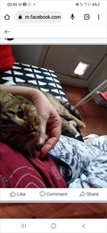 Riki