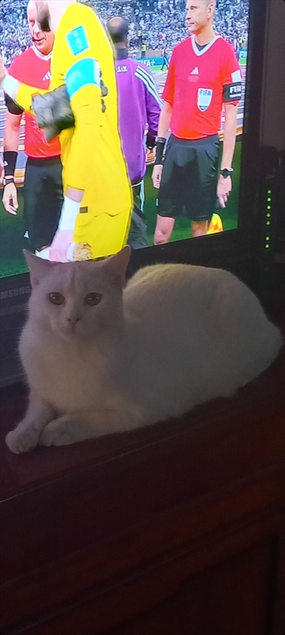 Hes