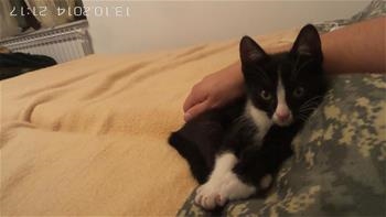 šmucko