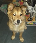 Gita