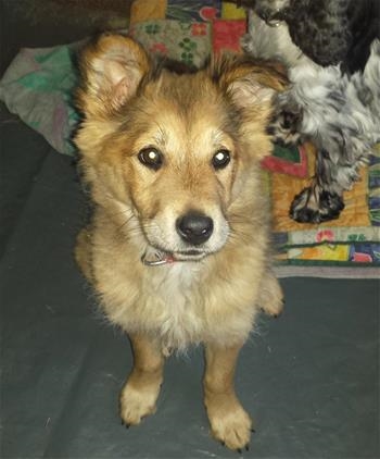 Gita