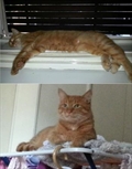 Tobby