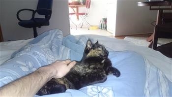 Min
