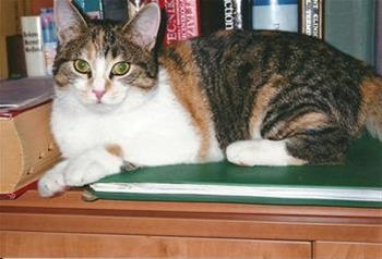 Zita