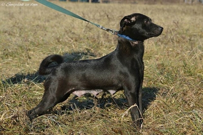 Asti