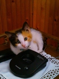 Micka