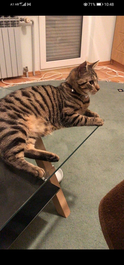 Yugi
