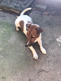 Jack