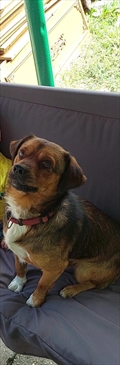 Beni