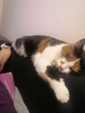 Micka