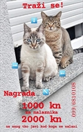 Maja