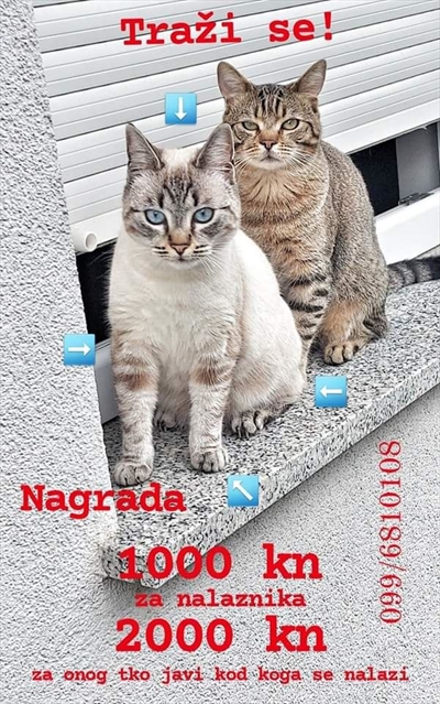 Maja