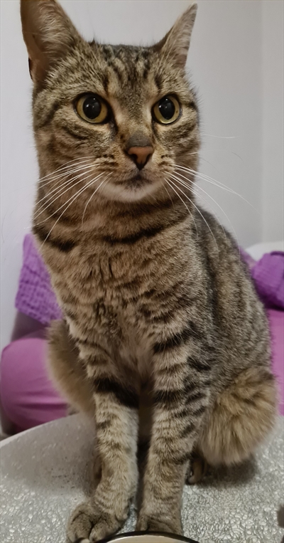 Micka