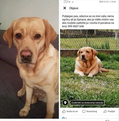 Lejla