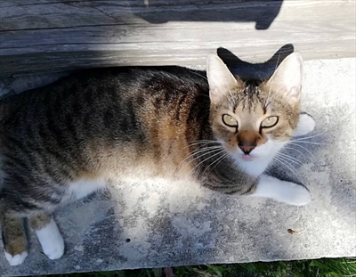 Luna