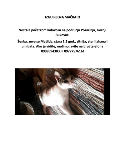 MATILDA
