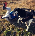 Max